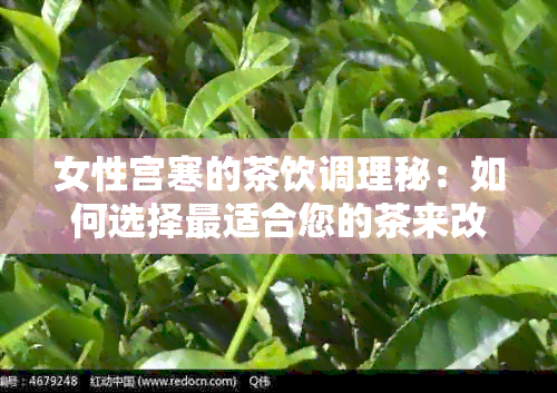 女性宫寒的茶饮调理秘：如何选择最适合您的茶来改善健