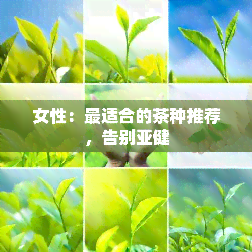 女性：最适合的茶种推荐，告别亚健