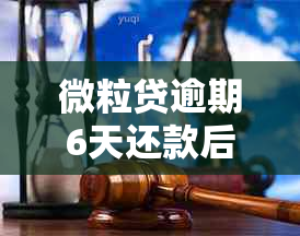 微粒贷逾期6天还款后，能否继续使用？逾期还款的后果是什么？