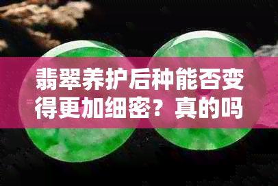 翡翠养护后种能否变得更加细密？真的吗？