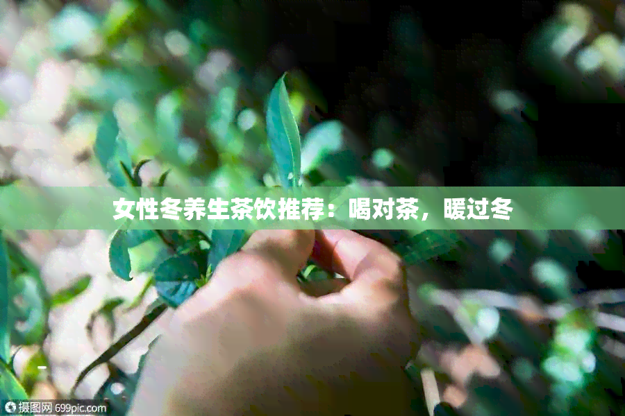 女性冬养生茶饮推荐：喝对茶，暖过冬