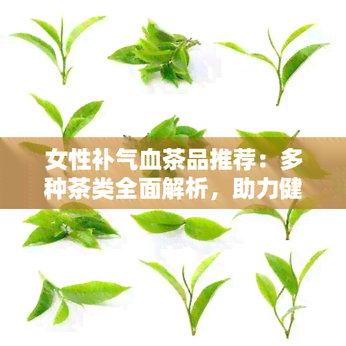 女性补气血茶品推荐：多种茶类全面解析，助力健生活