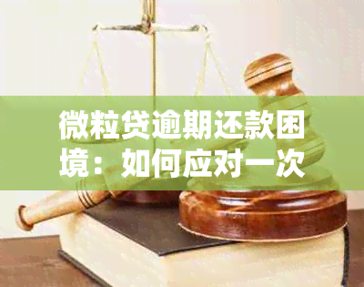 微粒贷逾期还款困境：如何应对一次性全额还清要求？