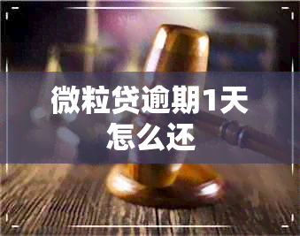 微粒贷逾期1天怎么还