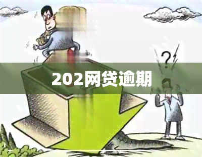 202网贷逾期