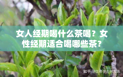 女人经期喝什么茶喝？女性经期适合喝哪些茶？