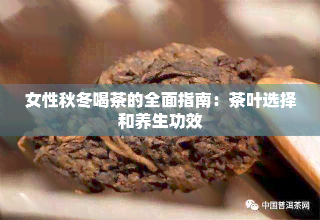 女性秋冬喝茶的全面指南：茶叶选择和养生功效