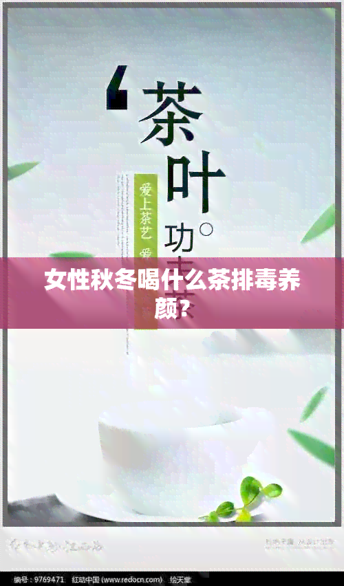 女性秋冬喝什么茶排养颜？