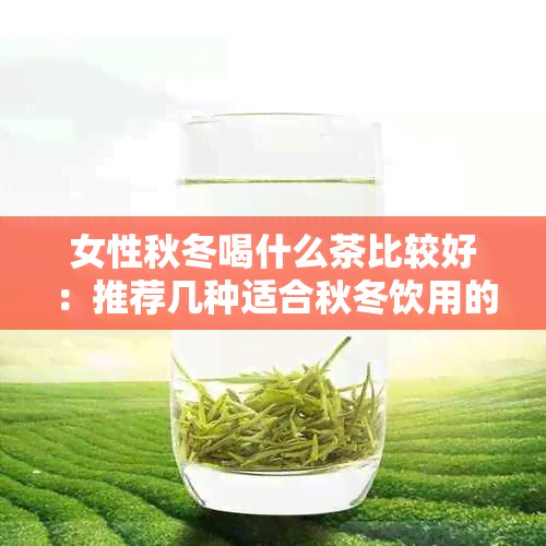 女性秋冬喝什么茶比较好：推荐几种适合秋冬饮用的茶叶。