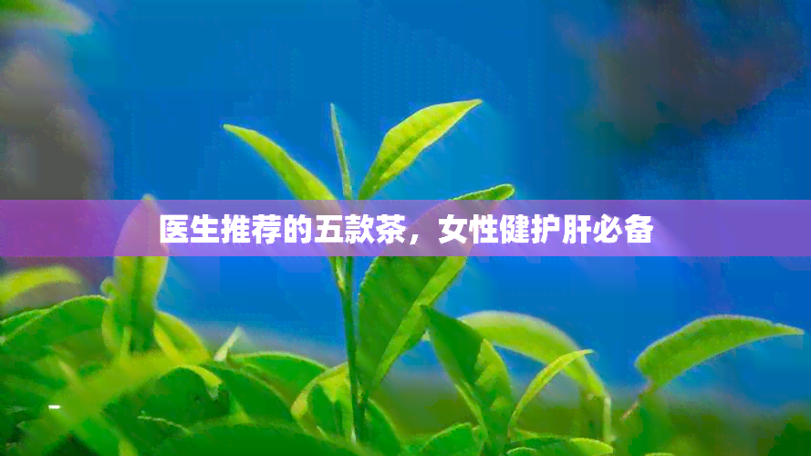 医生推荐的五款茶，女性健护肝必备