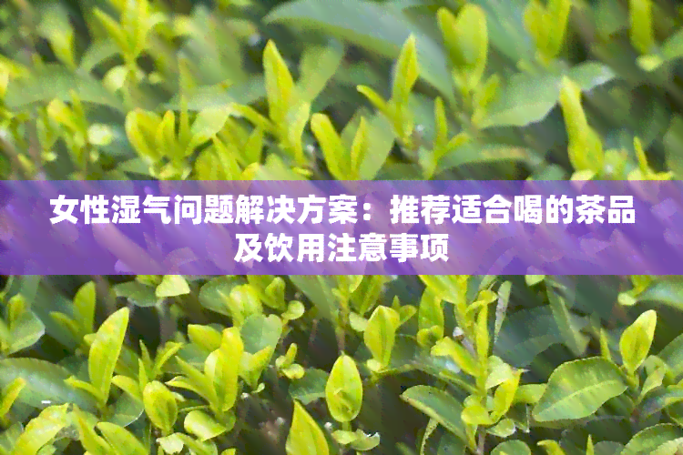 女性湿气问题解决方案：推荐适合喝的茶品及饮用注意事项