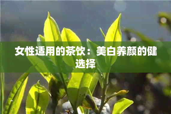 女性适用的茶饮：美白养颜的健选择