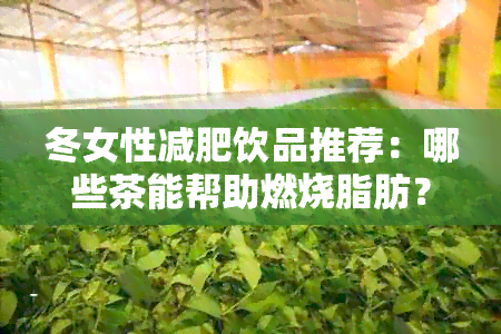 冬女性减肥饮品推荐：哪些茶能帮助燃烧脂肪？