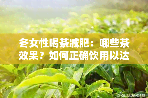 冬女性喝茶减肥：哪些茶效果？如何正确饮用以达到减肥效果？