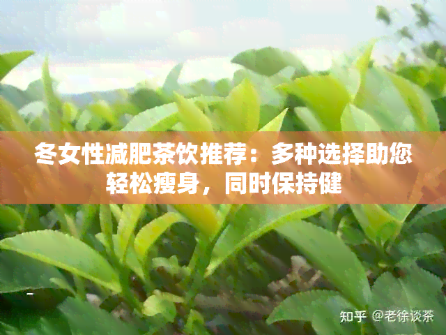 冬女性减肥茶饮推荐：多种选择助您轻松瘦身，同时保持健