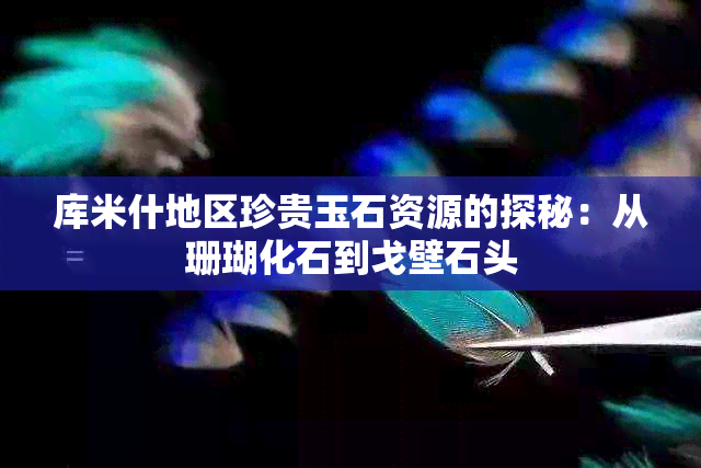 库米什地区珍贵玉石资源的探秘：从珊瑚化石到戈壁石头