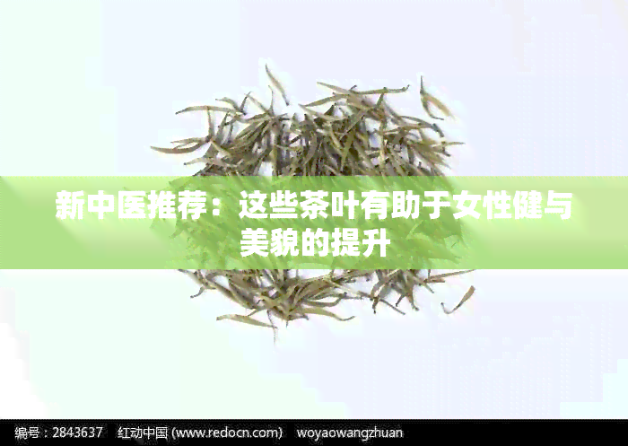 新中医推荐：这些茶叶有助于女性健与美貌的提升