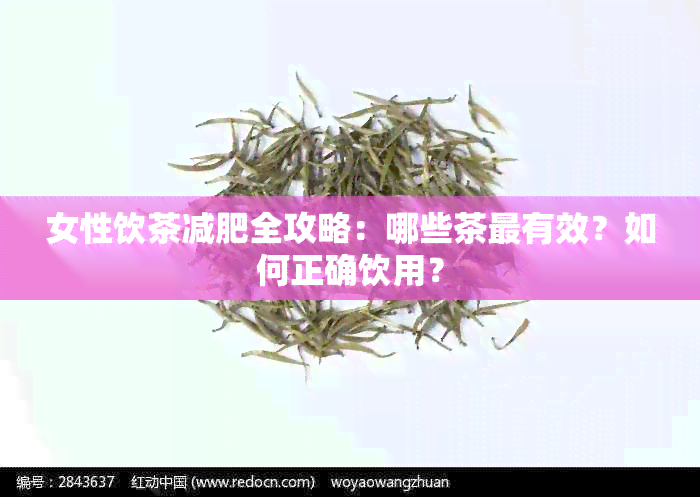 女性饮茶减肥全攻略：哪些茶最有效？如何正确饮用？