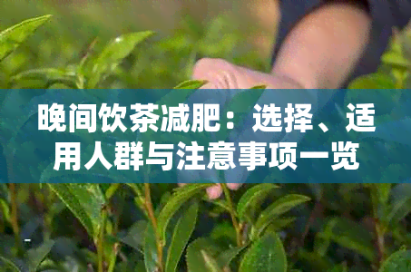 晚间饮茶减肥：选择、适用人群与注意事项一览