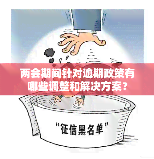 两会期间针对逾期政策有哪些调整和解决方案？