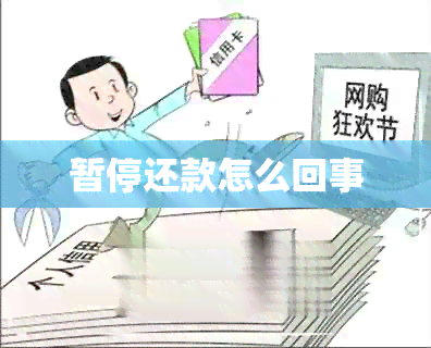 暂停还款怎么回事