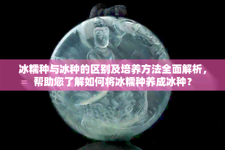 冰糯种与冰种的区别及培养方法全面解析，帮助您了解如何将冰糯种养成冰种？