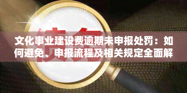 文化事业建设费逾期未申报处罚：如何避免、申报流程及相关规定全面解析