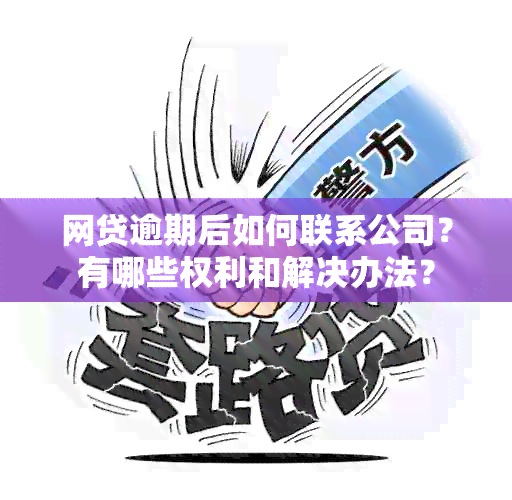 网贷逾期后如何联系公司？有哪些权利和解决办法？