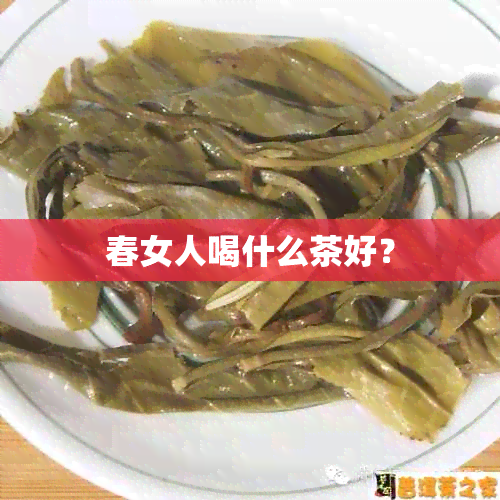 春女人喝什么茶好？