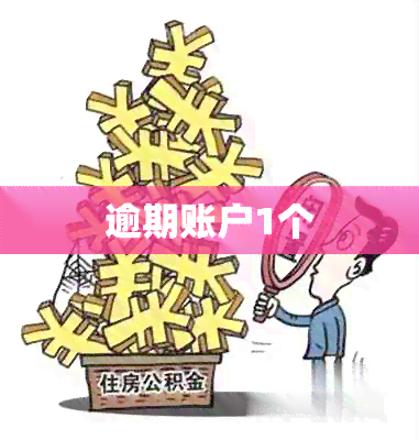 逾期账户1个