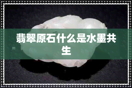 翡翠原石什么是水墨共生