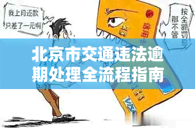 北京市交通违法逾期处理全流程指南：如何应对罚款及解决问题