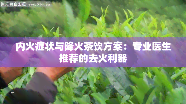 内火症状与降火茶饮方案：专业医生推荐的去火利器