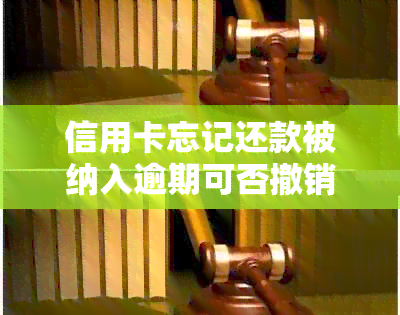 信用卡忘记还款被纳入逾期可否撤销？如何解决这个问题？