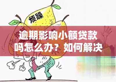 逾期影响小额贷款吗怎么办？如何解决小额贷款逾期问题？