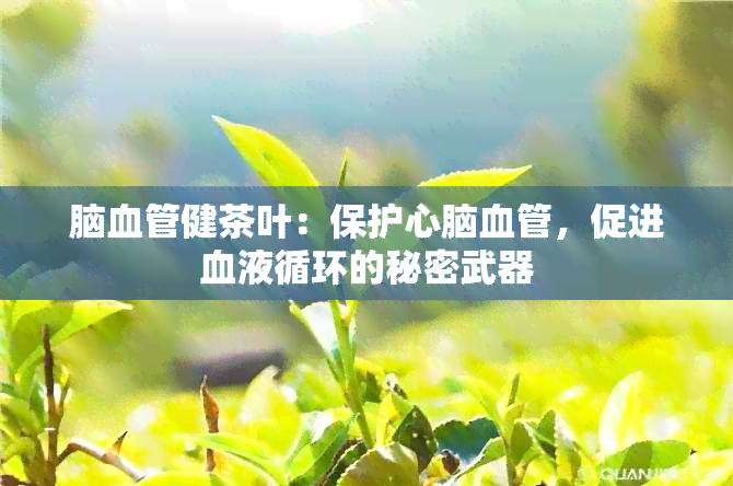 脑血管健茶叶：保护心脑血管，促进血液循环的秘密武器