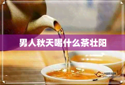 男人秋天喝什么茶壮阳