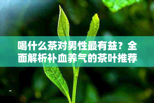 喝什么茶对男性最有益？全面解析补血养气的茶叶推荐及功效