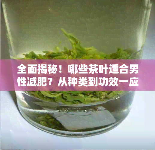 全面揭秘！哪些茶叶适合男性减肥？从种类到功效一应俱全