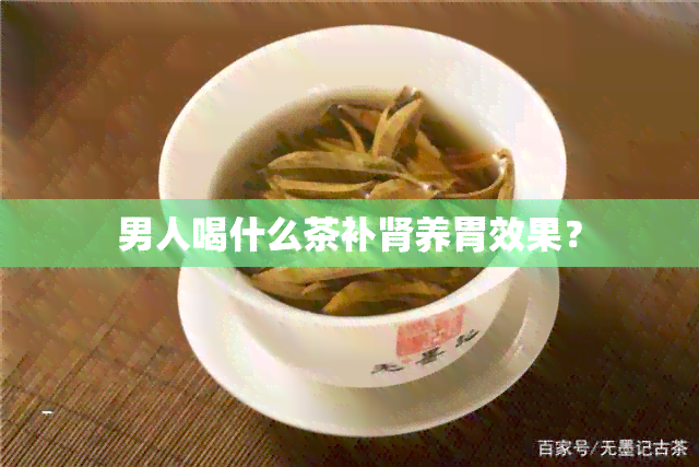 男人喝什么茶补肾养胃效果？