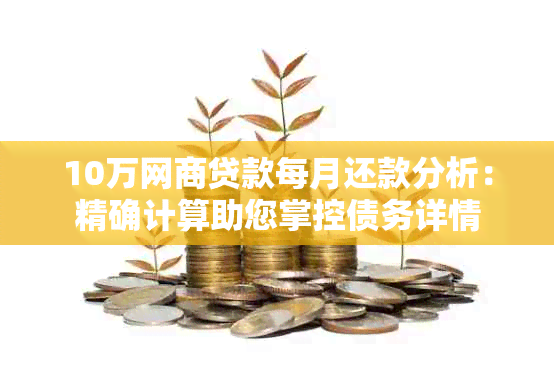 10万网商贷款每月还款分析：精确计算助您掌控债务详情