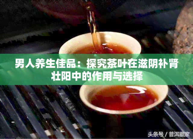 男人养生佳品：探究茶叶在滋阴补肾壮阳中的作用与选择