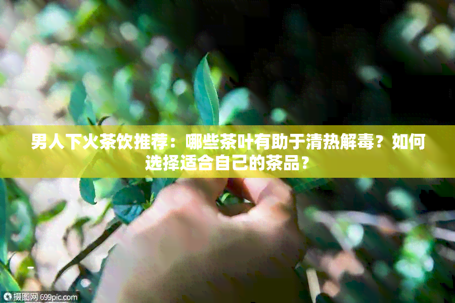 男人下火茶饮推荐：哪些茶叶有助于清热解？如何选择适合自己的茶品？