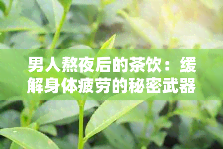 男人熬夜后的茶饮：缓解身体疲劳的秘密武器