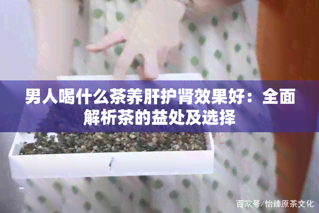 男人喝什么茶养肝护肾效果好：全面解析茶的益处及选择