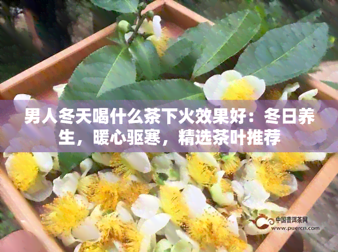 男人冬天喝什么茶下火效果好：冬日养生，暖心驱寒，精选茶叶推荐