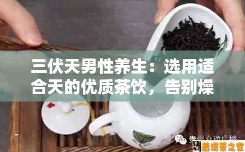 三伏天男性养生：选用适合天的优质茶饮，告别燥热不适