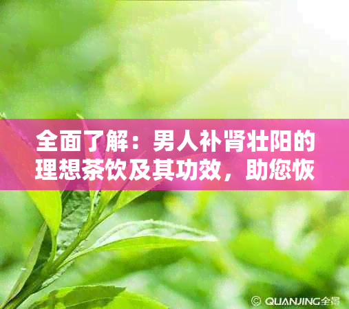 全面了解：男人补肾壮阳的理想茶饮及其功效，助您恢复活力与健