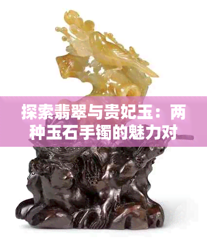 探索翡翠与贵妃玉：两种玉石手镯的魅力对比及其价格差异