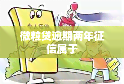 微粒贷逾期两年属于